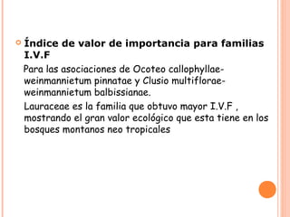    Índice de valor de importancia para familias
    I.V.F
    Para las asociaciones de Ocoteo callophyllae-
    weinmannietum pinnatae y Clusio multiflorae-
    weinmannietum balbissianae.
    Lauraceae es la familia que obtuvo mayor I.V.F ,
    mostrando el gran valor ecológico que esta tiene en los
    bosques montanos neo tropicales
 