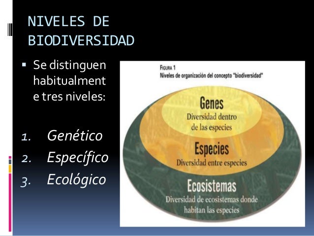 Biodiversidad