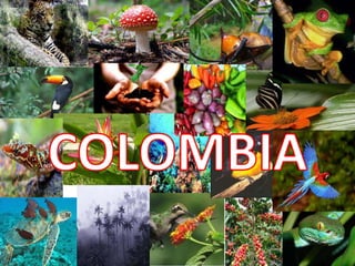 Collage Biodiversidad