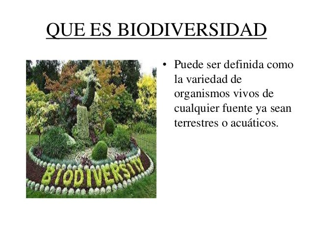 Biodiversidad