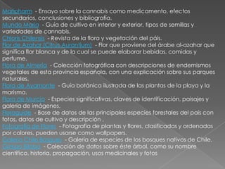Maripharm - Ensayo sobre la cannabis como medicamento, efectos
secundarios, conclusiones y bibliografía.
Mundo María - Guía de cultivo en interior y exterior, tipos de semillas y
variedades de cannabis.
Chloris Chilensis - Revista de la flora y vegetación del páis.
Flor de Azahar (Citrus Aurantium) - Flor que proviene del árabe al-azahar que
significa flor blanca y de la cual se puede elaborar bebidas, comidas y
perfume.
Flora de Almería - Colección fotográfica con descripciones de endemismos
vegetales de esta provincia española, con una explicación sobre sus parques
naturales.
Flora de Ayamonte - Guía botánica ilustrada de las plantas de la playa y la
marisma.
Flora de Murcia - Especies significativas, claves de identificación, paisajes y
galería de imágenes.
Floraguide - Base de datos de las principales especies forestales del país con
fotos, datos de cultivo y descripción .
Fotografía de Flores - Fotografia de plantas y flores, clasificadas y ordenadas
por colores, pueden usarse como wallpapers.
Galería Chile Bosques - Galería de especies de los bosques nativos de Chile.
Ginkgo Biloba - Colección de datos sobre éste árbol, como su nombre
científico, historia, propagación, usos medicinales y fotos
 