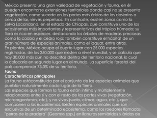 México presenta una gran variedad de vegetación y fauna, en él
pueden encontrarse extensiones territoriales donde casi no se presenta
vegetación, como sucede en las partes más áridas de los desiertos o
cerca de las nieves perpetuas. En contraste, existen zonas como la
Selva Lacandona, en el estado de Chiapas, que constituye uno de los
ecosistemas más importantes y representativos del trópico húmedo; su
flora es rica en especies, destacando los árboles de maderas preciosas
como la caoba y el cedro rojo; también constituye el hábitat de un
gran número de especies animales, como el jaguar, entre otros.
En plantas, México ocupa el cuarto lugar con 25,000 especies
registradas, de las 250,000 que existen a nivel mundial, y se calcula que
hay 30,000 más aún no descritas dentro del territorio nacional, lo cual
lo colocaría en segundo lugar en el mundo. La superficie forestal del
país comprende 73.3% de su territorio.
Fauna
Características principales
La fauna estáconstituida por el conjunto de las especies animales que
pueblan naturalmente cada lugar de la Tierra.
Las especies que forman la fauna están íntima y múltiplemente
relacionadas entre sí y con el resto de las partes vivas (vegetación,
microorganismos, etc), y no vivas (suelo, climas, agua, etc.), que
componen a los ecosistemas. Existen especies animales que son
exclusivas de un determinado ecosistema, como los roedores llamados
"perros de la pradera" (Geomys spp.) en llanuras semiáridas y áridas de
 