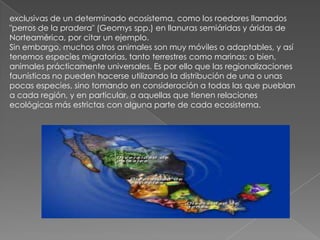 exclusivas de un determinado ecosistema, como los roedores llamados
"perros de la pradera" (Geomys spp.) en llanuras semiáridas y áridas de
Norteamérica, por citar un ejemplo.
Sin embargo, muchos otros animales son muy móviles o adaptables, y así
tenemos especies migratorias, tanto terrestres como marinas; o bien,
animales prácticamente universales. Es por ello que las regionalizaciones
faunísticas no pueden hacerse utilizando la distribución de una o unas
pocas especies, sino tomando en consideración a todas las que pueblan
a cada región, y en particular, a aquellas que tienen relaciones
ecológicas más estrictas con alguna parte de cada ecosistema.
 