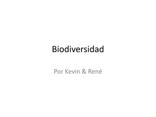 Biodiversidad
Por Kevin & René
 