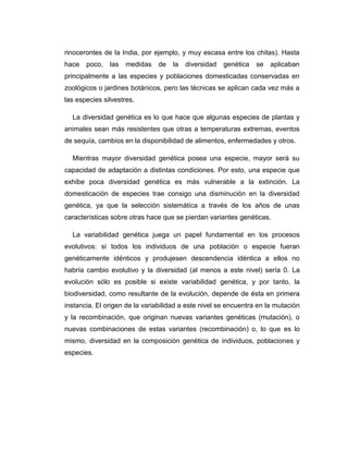 rinocerontes de la India, por ejemplo, y muy escasa entre los chitas). Hasta
hace poco, las medidas de la diversidad genética se aplicaban
principalmente a las especies y poblaciones domesticadas conservadas en
zoológicos o jardines botánicos, pero las técnicas se aplican cada vez más a
las especies silvestres.
La diversidad genética es lo que hace que algunas especies de plantas y
animales sean más resistentes que otras a temperaturas extremas, eventos
de sequía, cambios en la disponibilidad de alimentos, enfermedades y otros.
Mientras mayor diversidad genética posea una especie, mayor será su
capacidad de adaptación a distintas condiciones. Por esto, una especie que
exhibe poca diversidad genética es más vulnerable a la extinción. La
domesticación de especies trae consigo una disminución en la diversidad
genética, ya que la selección sistemática a través de los años de unas
características sobre otras hace que se pierdan variantes genéticas.
La variabilidad genética juega un papel fundamental en los procesos
evolutivos: si todos los individuos de una población o especie fueran
genéticamente idénticos y produjesen descendencia idéntica a ellos no
habría cambio evolutivo y la diversidad (al menos a este nivel) sería 0. La
evolución sólo es posible si existe variabilidad genética, y por tanto, la
biodiversidad, como resultante de la evolución, depende de ésta en primera
instancia. El origen de la variabilidad a este nivel se encuentra en la mutación
y la recombinación, que originan nuevas variantes genéticas (mutación), o
nuevas combinaciones de estas variantes (recombinación) o, lo que es lo
mismo, diversidad en la composición genética de individuos, poblaciones y
especies.
 