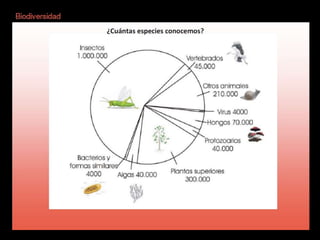 Biodiversidad
