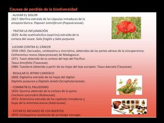 Biodiversidad