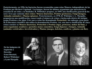 Posteriormente, en 1956, las bacterias fueron reconocidas como reino Monera, independiente de los
Protistas por Herbert Copeland . Los hongos, fueron los últimos organismos que merecieron la
creación de un reino y su fundador, R. Whittaker propuso, en 1959, una clasificación general de los
seres vivos que contenía cinco reinos: Monera (bacterias), Protista (protozoos), Fungi (hongos),
Animalia (animales) y Plantae (plantas). Posteriormente, en 1978, R. Whittaker y L. Margulis,
propusieron una modificación, conservando el número de reinos e incluyendo dentro del antiguo
grupo Protistas a las algas. Este nuevo reino fue denominado Protoctista; sin embargo, gran parte
de la literatura científica aún utiliza la denominación Protista. Así, esta nueva clasificación de cinco
reinos consiste en Monera (bacterias), Protoctista o Protista (algas, protozoos, mohos del limo, y
otros organismos acuáticos y parásitos menos conocidos), Fungi (líquenes y hongos), Animalia
(animales vertebrados e invertebrados) y Plantae (musgos, helechos, coníferas y plantas con flor).

En las imágenes de
Izquierda a
Derecha:
Ernst Haeckel,
Robert Whittaker
y Lynn Margulis

 