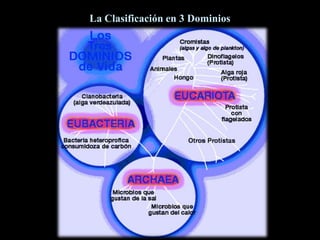 La Clasificación en 3 Dominios

 