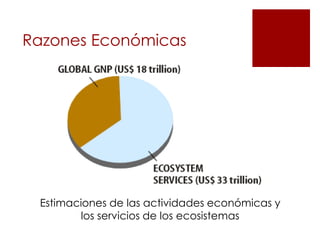 Razones Económicas

Estimaciones de las actividades económicas y
los servicios de los ecosistemas

 