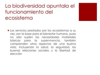 La biodiversidad apuntala el
funcionamiento del
ecosistemaa
 Los servicios prestados por los ecosistemas a su
vez, son la base para el bienestar humano, pues
no sólo suplen las necesidades materiales
básicas para la supervivencia, también
comprenden otros aspectos de una buena
vida, incluyendo la salud, la seguridad, las
buenas relaciones sociales y la libertad de
elección

 