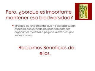 Pero, ¿porque es importante
mantener esa biodiversidad?
 ¿Porque es fundamental que no desaparezcan
especies aun cuando nos puedan parecer
organismos molestos o perjudiciales? Pues por
varias razones:

Recibimos Beneficios de
ellos.

 
