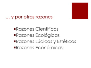 … y por otras razones
Razones Científicas
Razones Ecológicas
Razones Lúdicas y Estéticas
Razones Económicas

 