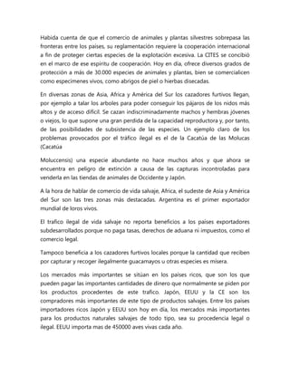 Habida cuenta de que el comercio de animales y plantas silvestres sobrepasa las 
fronteras entre los países, su reglamentación requiere la cooperación internacional 
a fin de proteger ciertas especies de la explotación excesiva. La CITES se concibió 
en el marco de ese espíritu de cooperación. Hoy en día, ofrece diversos grados de 
protección a más de 30.000 especies de animales y plantas, bien se comercialicen 
como especímenes vivos, como abrigos de piel o hierbas disecadas. 
En diversas zonas de Asia, Africa y América del Sur los cazadores furtivos llegan, 
por ejemplo a talar los arboles para poder conseguir los pájaros de los nidos más 
altos y de acceso difícil. Se cazan indiscriminadamente machos y hembras jóvenes 
o viejos, lo que supone una gran perdida de la capacidad reproductora y, por tanto, 
de las posibilidades de subsistencia de las especies. Un ejemplo claro de los 
problemas provocados por el tráfico ilegal es el de la Cacatúa de las Molucas 
(Cacatúa 
Moluccensis) una especie abundante no hace muchos años y que ahora se 
encuentra en peligro de extinción a causa de las capturas incontroladas para 
venderla en las tiendas de animales de Occidente y Japón. 
A la hora de hablar de comercio de vida salvaje, Africa, el sudeste de Asia y América 
del Sur son las tres zonas más destacadas. Argentina es el primer exportador 
mundial de loros vivos. 
El trafico ilegal de vida salvaje no reporta beneficios a los países exportadores 
subdesarrollados porque no paga tasas, derechos de aduana ni impuestos, como el 
comercio legal. 
Tampoco beneficia a los cazadores furtivos locales porque la cantidad que reciben 
por capturar y recoger ilegalmente guacamayos u otras especies es mísera. 
Los mercados más importantes se sitúan en los países ricos, que son los que 
pueden pagar las importantes cantidades de dinero que normalmente se piden por 
los productos procedentes de este trafico. Japón, EEUU y la CE son los 
compradores más importantes de este tipo de productos salvajes. Entre los países 
importadores ricos Japón y EEUU son hoy en día, los mercados más importantes 
para los productos naturales salvajes de todo tipo, sea su procedencia legal o 
ilegal. EEUU importa mas de 450000 aves vivas cada año. 
 