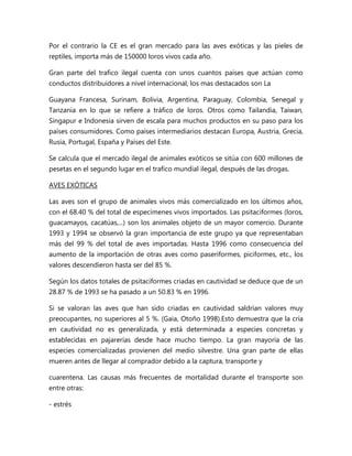 Por el contrario la CE es el gran mercado para las aves exóticas y las pieles de 
reptiles, importa más de 150000 loros vivos cada año. 
Gran parte del trafico ilegal cuenta con unos cuantos países que actúan como 
conductos distribuidores a nivel internacional, los mas destacados son La 
Guayana Francesa, Surinam, Bolivia, Argentina, Paraguay, Colombia, Senegal y 
Tanzania en lo que se refiere a tráfico de loros. Otros como Tailandia, Taiwan, 
Singapur e Indonesia sirven de escala para muchos productos en su paso para los 
países consumidores. Como países intermediarios destacan Europa, Austria, Grecia, 
Rusia, Portugal, España y Países del Este. 
Se calcula que el mercado ilegal de animales exóticos se sitúa con 600 millones de 
pesetas en el segundo lugar en el trafico mundial ilegal, después de las drogas. 
AVES EXÓTICAS 
Las aves son el grupo de animales vivos más comercializado en los últimos años, 
con el 68.40 % del total de especímenes vivos importados. Las psitaciformes (loros, 
guacamayos, cacatúas,...) son los animales objeto de un mayor comercio. Durante 
1993 y 1994 se observó la gran importancia de este grupo ya que representaban 
más del 99 % del total de aves importadas. Hasta 1996 como consecuencia del 
aumento de la importación de otras aves como paseriformes, piciformes, etc., los 
valores descendieron hasta ser del 85 %. 
Según los datos totales de psitaciformes criadas en cautividad se deduce que de un 
28.87 % de 1993 se ha pasado a un 50.83 % en 1996. 
Si se valoran las aves que han sido criadas en cautividad saldrían valores muy 
preocupantes, no superiores al 5 %. (Gaia, Otoño 1998).Esto demuestra que la cría 
en cautividad no es generalizada, y está determinada a especies concretas y 
establecidas en pajarerías desde hace mucho tiempo. La gran mayoría de las 
especies comercializadas provienen del medio silvestre. Una gran parte de ellas 
mueren antes de llegar al comprador debido a la captura, transporte y 
cuarentena. Las causas más frecuentes de mortalidad durante el transporte son 
entre otras: 
- estrés 
 