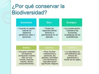 ¿Por qué conservar la 
Biodiversidad? 
Económica 
• Cuando el capital 
natural se 
deteriora 
perdemos valor y 
opciones. 
Ética 
• Todas las 
especies tienen 
derecho a 
permanecer en el 
planeta. 
Ecológica. 
• La conservación 
mantiene las 
funciones 
ecológicas de los 
ecosistemas. 
Estética 
• Una gran cantidad 
de especies 
enriquecen nuestra 
vida con sus 
formas, texturas, 
colores, olores, 
comportamientos. 
Espiritual 
• Para muchas 
civilizaciones y 
personas, las 
plantas y animales 
y los fenómenos 
naturales tienen 
significado religioso 
Científica 
• La naturaleza es 
una biblioteca que 
hemos ido 
descifrando a 
través de los siglos. 
