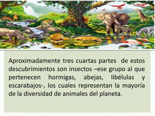 Aproximadamente tres cuartas partes de estos
descubrimientos son insectos –ese grupo al que
pertenecen hormigas, abejas, libélulas y
escarabajos-, los cuales representan la mayoría
de la diversidad de animales del planeta.
 