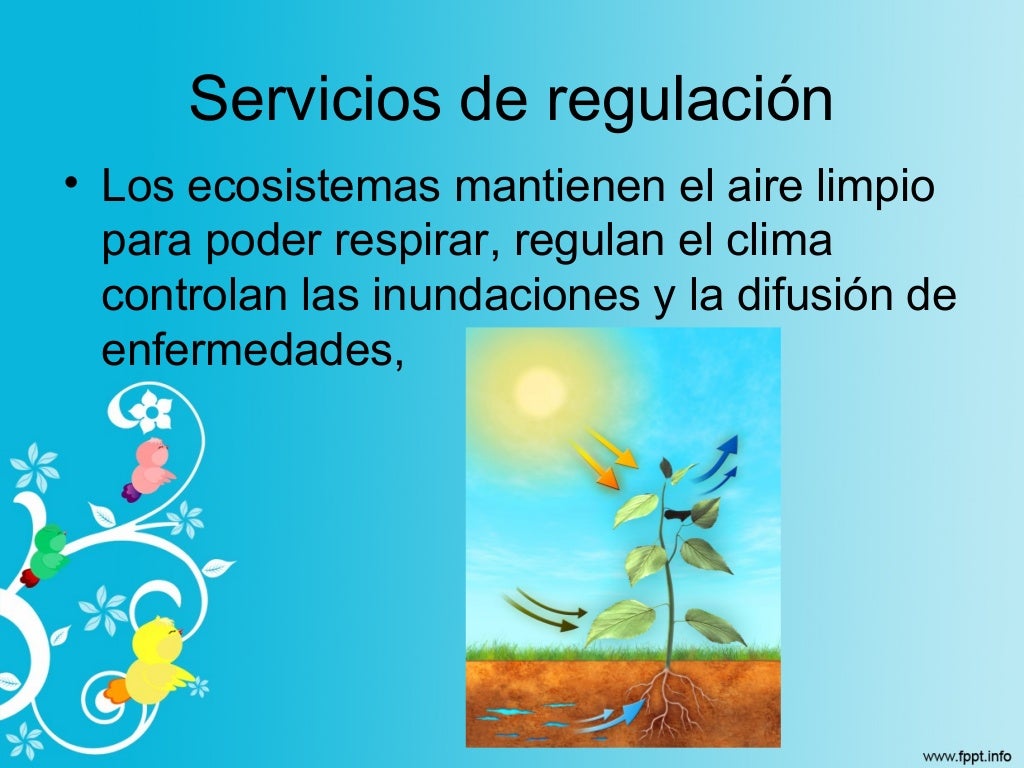 Porque Es Importante La Biodiversidad porque-es-importante-la-biodiversidad