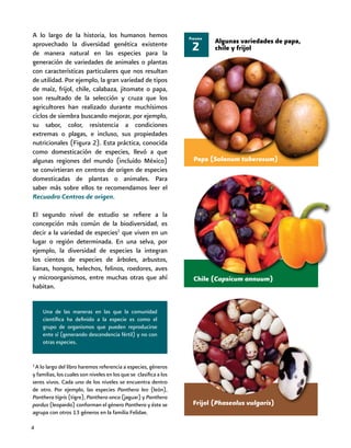4
A lo largo de la historia, los humanos hemos
aprovechado la diversidad genética existente
de manera natural en las especies para la
generación de variedades de animales o plantas
con características particulares que nos resultan
de utilidad. Por ejemplo, la gran variedad de tipos
de maíz, frijol, chile, calabaza, jitomate o papa,
son resultado de la selección y cruza que los
agricultores han realizado durante muchísimos
ciclos de siembra buscando mejorar, por ejemplo,
su sabor, color, resistencia a condiciones
extremas o plagas, e incluso, sus propiedades
nutricionales (Figura 2). Esta práctica, conocida
como domesticación de especies, llevó a que
algunas regiones del mundo (incluido México)
se convirtieran en centros de origen de especies
domesticadas de plantas o animales. Para
saber más sobre ellos te recomendamos leer el
Recuadro Centros de origen.
El segundo nivel de estudio se refiere a la
concepción más común de la biodiversidad, es
decir a la variedad de especies2
que viven en un
lugar o región determinada. En una selva, por
ejemplo, la diversidad de especies la integran
los cientos de especies de árboles, arbustos,
lianas, hongos, helechos, felinos, roedores, aves
y microorganismos, entre muchas otras que ahí
habitan.
Una de las maneras en las que la comunidad
científica ha definido a la especie es como el
grupo de organismos que pueden reproducirse
ente sí (generando descendencia fértil) y no con
otras especies.
2
Figura
Algunas variedades de papa,
chile y frijol
Papa (Solanum tuberosum)
Chile (Capsicum annuum)
Frijol (Phaseolus vulgaris)
2
A lo largo del libro haremos referencia a especies, géneros
y familias, los cuales son niveles en los que se clasifica a los
seres vivos. Cada uno de los niveles se encuentra dentro
de otro. Por ejemplo, las especies Panthera leo (león),
Panthera tigris (tigre), Panthera onca (jaguar) y Panthera
pardus (leopardo) conforman el género Panthera y éste se
agrupa con otros 13 géneros en la familia Felidae.
 