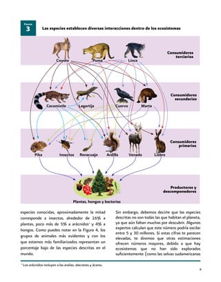 9
3
Los arácnidos incluyen a las arañas, alacranes y ácaros.
especies conocidas, aproximadamente la mitad
corresponde a insectos, alrededor de 16% a
plantas, poco más de 5% a arácnidos3
y 4% a
hongos. Como puedes notar en la Figura 4, los
grupos de animales más evidentes y con los
que estamos más familiarizados representan un
porcentaje bajo de las especies descritas en el
mundo.
Sin embargo, debemos decirte que las especies
descritas no son todas las que habitan el planeta,
ya que aún faltan muchas por descubrir. Algunos
expertos calculan que este número podría oscilar
entre 5 y 30 millones. Si estas cifras te parecen
elevadas, te diremos que otras estimaciones
ofrecen números mayores, debido a que hay
ecosistemas que no han sido explorados
suficientemente (como las selvas sudamericanas
Las especies establecen diversas interacciones dentro de los ecosistemas3
Figura
Coyote Puma Lince
Cacomixtle Lagartija Cuervo Marta
Pika Insectos Renacuajo Ardilla Venado Liebre
Consumidores
secundarios
Consumidores
primarios
Consumidores
terciarios
Productores y
descomponedores
Plantas, hongos y bacterias
 
