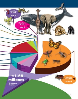 11
Mamíferos
4 381
0.26 %
Anfibios
4 780
0.28 %
Insectos
915 350
54.37 %
1.68
millones
de especies
descritas
 