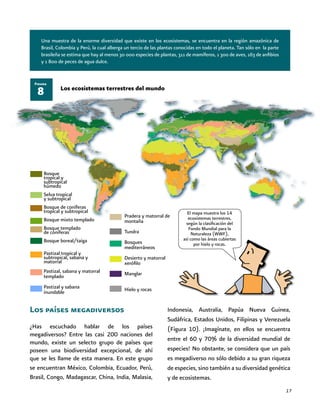17
Los ecosistemas terrestres del mundo
8
Figura
Pradera y matorral de
montaña
Tundra
Bosques
mediterráneos
Desierto y matorral
xerófilo
Manglar
Hielo y rocas
El mapa muestra los 14
ecosistemas terrestres,
según la clasificación del
Fondo Mundial para la
Naturaleza (WWF),
así como las áreas cubiertas
por hielo y rocas.
Bosque
tropical y
subtropical
húmedo
Selva tropical
y subtropical
Bosque de coníferas
tropical y subtropical
Bosque mixto templado
Bosque templado
de coníferas
Bosque boreal/taiga
Pastizal tropical y
subtropical, sabana y
matorral
Pastizal, sabana y matorral
templado
Pastizal y sabana
inundable
Los países megadiversos
¿Has escuchado hablar de los países
megadiversos? Entre las casi 200 naciones del
mundo, existe un selecto grupo de países que
poseen una biodiversidad excepcional, de ahí
que se les llame de esta manera. En este grupo
se encuentran México, Colombia, Ecuador, Perú,
Brasil, Congo, Madagascar, China, India, Malasia,
Una muestra de la enorme diversidad que existe en los ecosistemas, se encuentra en la región amazónica de
Brasil, Colombia y Perú, la cual alberga un tercio de las plantas conocidas en todo el planeta. Tan sólo en la parte
brasileña se estima que hay al menos 30 000 especies de plantas, 311 de mamíferos, 1 300 de aves, 163 de anfibios
y 1 800 de peces de agua dulce.
Indonesia, Australia, Papúa Nueva Guinea,
Sudáfrica, Estados Unidos, Filipinas y Venezuela
(Figura 10). ¡Imagínate, en ellos se encuentra
entre el 60 y 70% de la diversidad mundial de
especies! No obstante, se considera que un país
es megadiverso no sólo debido a su gran riqueza
de especies, sino también a su diversidad genética
y de ecosistemas.
 