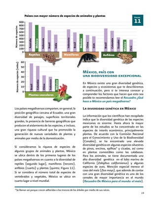 19
Plantas vasculares
Los países megadiversos comparten, en general, la
posición geográfica cercana al Ecuador, una gran
diversidad de paisajes, superficies territoriales
grandes, la presencia de barreras geográficas que
producen el aislamiento de las especies, e incluso,
una gran riqueza cultural que ha promovido la
generación de nuevas variedades de plantas y
animales por medio de la domesticación.
Si consideramos la riqueza de especies de
algunos grupos de animales y plantas, México
se ubica dentro de los primeros lugares de los
países megadiversos en cuanto a la diversidad de
reptiles (segundo lugar), mamíferos (tercero),
anfibios (cuarto) y plantas (quinto; Figura 11).
Si se considera el número total de especies de
vertebrados y vegetales, México se ubica en
cuarto lugar a nivel mundial.
México, país con
una biodiversidad excepcional
En México existe una gran diversidad genética,
de especies y ecosistemas que te describiremos
a continuación, pero si te interesa conocer y
comprender los factores que hacen que esto sea
posible te recomendamos leer el Recuadro ¿Qué
hace a México un país megadiverso?
La diversidad genética en México
La información que los científicos han recopilado
indica que la diversidad genética de las especies
mexicanas es enorme. Hasta ahora la mayor
parte de los estudios se ha concentrado en las
especies de interés económico, principalmente
plantas. De acuerdo con la Comisión Nacional
para el Conocimiento y Uso de la Biodiversidad
(Conabio), se ha encontrado una elevada
diversidad genética en algunas especies silvestres
de pinos, encinos, epífitas4
y cícadas, así como
en plantas comestibles como las calabazas.
Para los animales, se tiene documentada una
alta diversidad genética en el lobo marino de
California (Zalophus californianus) y algunas
especies de aves. Mención especial merece el
caso del maíz (Zea mays), que además de contar
con una gran diversidad genética es uno de los
cereales de mayor importancia en el mundo
(Recuadro De México para el mundo: el maíz).
4
Se llaman así porque crecen adheridas a los troncos de los árboles por medio de sus raíces.
AnfibiosMamíferos
11
Figura
Países con mayor número de especies de animales y plantasNúmerodeespecies
900
800
700
600
500
400
300
200
100
0
Australia
México
Indonesia
Brasil
India
China
México
Indonesia
Brasil
EUA
Colombia
México
Ecuador
Brasil
Perú
México
Indonesia
Brasil
Colombia
China
Númerodeespecies(miles)
60
50
40
30
20
10
0
Reptiles
 