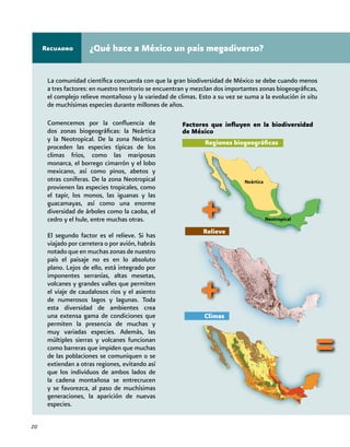 20
¿Qué hace a México un país megadiverso?
La comunidad científica concuerda con que la gran biodiversidad de México se debe cuando menos
a tres factores: en nuestro territorio se encuentran y mezclan dos importantes zonas biogeográficas,
el complejo relieve montañoso y la variedad de climas. Esto a su vez se suma a la evolución in situ
de muchísimas especies durante millones de años.
Factores que influyen en la biodiversidad
de México
Regiones biogeográficas
Relieve
Recuadro
Comencemos por la confluencia de
dos zonas biogeográficas: la Neártica
y la Neotropical. De la zona Neártica
proceden las especies típicas de los
climas fríos, como las mariposas
monarca, el borrego cimarrón y el lobo
mexicano, así como pinos, abetos y
otras coníferas. De la zona Neotropical
provienen las especies tropicales, como
el tapir, los monos, las iguanas y las
guacamayas, así como una enorme
diversidad de árboles como la caoba, el
cedro y el hule, entre muchas otras.
El segundo factor es el relieve. Si has
viajado por carretera o por avión, habrás
notado que en muchas zonas de nuestro
país el paisaje no es en lo absoluto
plano. Lejos de ello, está integrado por
imponentes serranías, altas mesetas,
volcanes y grandes valles que permiten
el viaje de caudalosos ríos y el asiento
de numerosos lagos y lagunas. Toda
esta diversidad de ambientes crea
una extensa gama de condiciones que
permiten la presencia de muchas y
muy variadas especies. Además, las
múltiples sierras y volcanes funcionan
como barreras que impiden que muchas
de las poblaciones se comuniquen o se
extiendan a otras regiones, evitando así
que los individuos de ambos lados de
la cadena montañosa se entrecrucen
y se favorezca, al paso de muchísimas
generaciones, la aparición de nuevas
especies.
Climas
 
