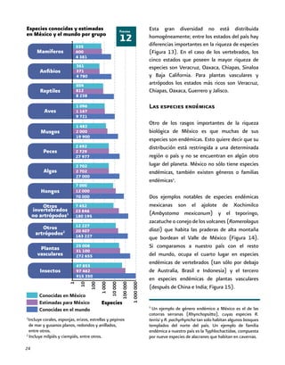 24
12
Figura
Especies conocidas y estimadas
en México y el mundo por grupo
Esta gran diversidad no está distribuida
homogéneamente; entre los estados del país hay
diferencias importantes en la riqueza de especies
(Figura 13). En el caso de los vertebrados, los
cinco estados que poseen la mayor riqueza de
especies son Veracruz, Oaxaca, Chiapas, Sinaloa
y Baja California. Para plantas vasculares y
artrópodos los estados más ricos son Veracruz,
Chiapas, Oaxaca, Guerrero y Jalisco.
Las especies endémicas
Otro de los rasgos importantes de la riqueza
biológica de México es que muchas de sus
especies son endémicas. Esto quiere decir que su
distribución está restringida a una determinada
región o país y no se encuentran en algún otro
lugar del planeta. México no sólo tiene especies
endémicas, también existen géneros o familias
endémicas5
.
Dos ejemplos notables de especies endémicas
mexicanas son el ajolote de Xochimilco
(Ambystoma mexicanum) y el teporingo,
zacatuche o conejo de los volcanes (Romerolagus
diazi) que habita las praderas de alta montaña
que bordean el Valle de México (Figura 14).
Si comparamos a nuestro país con el resto
del mundo, ocupa el cuarto lugar en especies
endémicas de vertebrados (tan sólo por debajo
de Australia, Brasil e Indonesia) y el tercero
en especies endémicas de plantas vasculares
(después de China e India; Figura 15).
5
Un ejemplo de género endémico a México es el de las
cotorras serranas (Rhynchopsitta), cuyas especies R.
terrisi y R. pachyrhyncha tan solo habitan algunos bosques
templados del norte del país. Un ejemplo de familia
endémica a nuestro país es la Typhlochactidae, compuesta
por nueve especies de alacranes que habitan en cavernas.
Conocidas en México
Estimadas para México
Conocidas en el mundo
535
600
4 381
361
371
4 780
804
812
8 238
1 096
1 167
9 721
1 482
2 000
19 900
2 692
2 729
27 977
2 702
2 702
27 000
7 000
12 000
70 000
7 452
23 846
180 195
12 227
20 407
163 227
25 008
31 100
272 655
47 853
97 462
915 350
Mamíferos
Anfibios
Reptiles
Aves
Musgos
Peces
Algas
Hongos
Otros
invertebrados
no artrópodos1
Otros
artrópodos2
Plantas
vasculares
Insectos
1
10
100
1000
10000
100000
1000000
Especies
1
Incluye corales, esponjas, erizos, estrellas y pepinos
de mar y gusanos planos, redondos y anillados,
entre otros.
2
Incluye milpiés y ciempiés, entre otros.
 