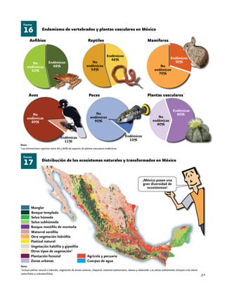 27
16
Figura
Endemismo de vertebrados y plantas vasculares en México
No
endémicos
52%
Endémicos
48%
No
endémicos
54%
Endémicos
46%
No
endémicos
70%
Endémicos
30%
No
endémicos
90%
Endémicos
10%
No
endémicas
89%
Endémicas
11%
No
endémicas
40%
Endémicas
60%
Anfibios Reptiles Mamíferos
Aves Peces Plantas vasculares
17
Figura
Nota:
1
Incluye palmar natural e inducido, vegetación de dunas costeras, chaparral, matorral submontano, sabana y sabanoide. Las selvas subhúmedas incluyen a las selvas
caducifolias y subcaducifolias.
Bosque templado
Selva húmeda
Selva subhúmeda
Manglar
Bosque mesófilo de montaña
Matorral xerófilo
Otra vegetación hidrófila
Pastizal natural
Vegetación halófila y gipsófila
Otros tipos de vegetación1
Plantación forestal
Zonas urbanas
Agrícola y pecuario
Cuerpos de agua
¡México posee una
gran diversidad de
ecosistemas!
Distribución de los ecosistemas naturales y transformados en México
Nota:
1
Las estimaciones reportan entre 40 y 60% de especies de plantas vasculares endémicas.
1
 