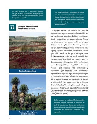 28
Las selvas húmedas y los bosques de niebla
son los ecosistemas terrestres con mayor
riqueza de especies. En México, contribuyen
con el 17 y 12%, respectivamente, de la flora
nacional (más de 5 000 y 3 000 especies,
respectivamente).
En los bosques de niebla de México, también
llamados bosques mesófilos de montaña, el
30% de especies de plantas son endémicas.
En estos bosques también existe una elevada
diversidad de vertebrados terrestres (755
especies).
18
Figura
Ejemplos de ecosistemas
endémicos a México
Pastizales gipsófilos
Izotales del altiplano
central mexicano
La riqueza natural de México no sólo se
encuentra en la parte terrestre, sino también en
los ecosistemas acuáticos. Existen ecosistemas
donde predominan las aguas salobres (como
los estuarios, en los cuales confluyen el agua
dulce de los ríos y la salada del mar) y otros en
los que domina el agua dulce, como en los ríos,
lagos y lagunas. En nuestro territorio se calcula
que habita 60% de los peces de agua dulce
de Norteamérica y 6% del total mundial. Los
ríos con mayor diversidad de peces son el
Coatzacoalcos (53 especies, 13% endémicas),
Lerma-Santiago (57 especies, 58% endémicas),
Pánuco (75 especies, 30% endémicas) y
Papaloapan (47 especies, 21% endémicas).
Algunasdelaslagunasylagosmásimportantespor
su riqueza de especies y número de endemismos
son el lago de Chapala (en los estados de Jalisco
y Michoacán), los lagos-cráter de la Cuenca
Oriental (Puebla, Tlaxcala y Veracruz), el lago de
Catemaco (Veracruz), la laguna de Chichankanab
(Quintana Roo y Yucatán) y la laguna de la Media
Luna (San Luis Potosí).
La selva húmeda de La Lacandona alberga
el 25% de toda la diversidad de especies de
México en un área que apenas alcanza el 1% de
la superficie nacional.	
 