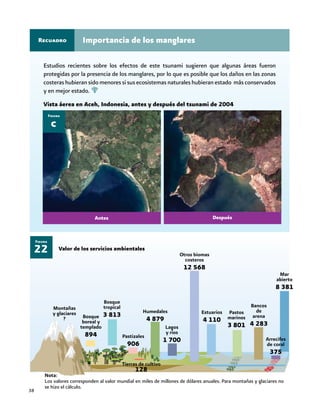 38
Importancia de los manglaresRecuadro
Nota:
Los valores corresponden al valor mundial en miles de millones de dólares anuales. Para montañas y glaciares no
se hizo el cálculo.
22
Figura
Montañas
y glaciares
? Bosque
boreal y
templado
894
Bosque
tropical
3 813
Pastizales
906
Tierras de cultivo
128
Humedales
4 879
Lagos
y ríos
1 700
Otros biomas
costeros
12 568
Estuarios
4 110
Pastos
marinos
3 801
Bancos
de
arena
4 283
Mar
abierto
8 381
Arrecifes
de coral
375
Antes Después
Vista áerea en Aceh, Indonesia, antes y después del tsunami de 2004
c
Figura
Estudios recientes sobre los efectos de este tsunami sugieren que algunas áreas fueron
protegidas por la presencia de los manglares, por lo que es posible que los daños en las zonas
costeras hubieran sido menores si sus ecosistemas naturales hubieran estado más conservados
y en mejor estado.
 