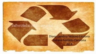 Biodiversidad en nuestra comunidad
Diana carolina Velasco Cardona
Yuliana hurtado Carmona
11-4
 