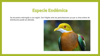 Se encuentra restringida a una región. Son frágiles ante las perturbaciones ya que su área entera de
distribución puede ser alterada.
10
 