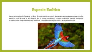 Especie introducida fuera de su área de distribución original. No tienen relaciones evolutivas con las
especies con las que se encuentran en su nuevo territorio y pueden ocasionar fuertes problemas
transmitiendo enfermedades desconocidas, compitiendo o depredando a las especies nativas.
11
 