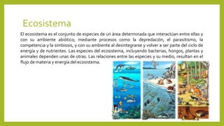 Ecosistema
13
El ecosistema es el conjunto de especies de un área determinada que interactúan entre ellas y
con su ambiente abiótico; mediante procesos como la depredación, el parasitismo, la
competencia y la simbiosis, y con su ambiente al desintegrarse y volver a ser parte del ciclo de
energía y de nutrientes. Las especies del ecosistema, incluyendo bacterias, hongos, plantas y
animales dependen unas de otras. Las relaciones entre las especies y su medio, resultan en el
flujo de materia y energía del ecosistema.
 