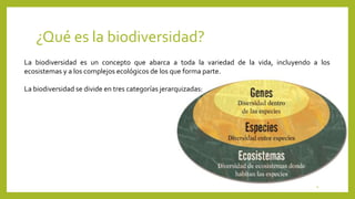 ¿Qué es la biodiversidad?
La biodiversidad es un concepto que abarca a toda la variedad de la vida, incluyendo a los
ecosistemas y a los complejos ecológicos de los que forma parte.
La biodiversidad se divide en tres categorías jerarquizadas:
4
 