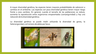 A mayor diversidad genética, las especies tienen mayores probabilidades de sobrevivir a
cambios en el ambiente. Las especies con poca diversidad genética tienen mayor riesgo
frente a esos cambios. En general, cuando el tamaño de las poblaciones se reduce,
aumenta la reproducción entre organismos emparentados (consanguinidad) y hay una
reducción de la diversidad genética.
La diversidad genética se puede medir utilizando la diversidad de genes, la
heterocigocidad, o el número de alelos por locus.
7
 