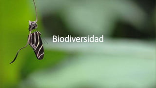 Biodiversidad
 
