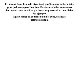 El hombre ha utilizado la diversidad genética para su beneficio,
principalmente para la obtención de variedades animales o
plantas con características particulares que resultan de utilidad.
Por ejemplo,
la gran variedad de tipos de maíz, chile, calabaza,
jitomate o papa.
 