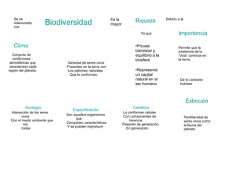 Se ve
relacionado
con
Biodiversidad
Es la
mayor
Riqueza
Ya que
Debido a la
Importancia
Permite que la
existencia de la
“Vida” continúe en
la tierra.
Clima
Conjunto de
condiciones
atmosféricas que
caracterizan cada
región del planeta.
Variedad de seres vivos
Presentes en la tierra con
Los patrones naturales
Que la conforman:
•Provee
bienestar y
equilibrio a la
biosfera
•Representa
un capital
natural en el
ser humano
De lo contrario
hubiese
Extinción
Ecología
Interacción de los seres
vivos
Con el medio ambiente que
los
rodea
Especificación
Son aquellos organismos
que
Comparten características
Y se pueden reproducir
Genética
Lo conforman células
Con componentes de
herencia
Pasando de generación
En generación.
Perdida total de
seres vivos como
la fauna del
planeta.