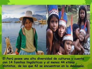 El Perú posee una alta diversidad de culturas y cuenta
con 14 familias lingüísticas y al menos 44 etnias
distintas, de las que 42 se encuentran en la Amazonía.
 