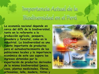 La economía nacional depende en
cerca del 60% de la biodiversidad,
tanto en lo referente a la
producción agrícola, pesquera,
ganadera y forestal, como en lo
industrial. La biodiversidad es una
fuente importante de productos
para el autoabastecimiento de las
poblaciones locales y la importancia
económica de este uso supera los
ingresos obtenidos por la
exportación de productos derivados
de la misma biodiversidad (pesca,
caza, plantas medicinales, fibras,
artesanías, leña, madera, tintes y
 