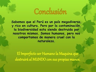Sabemos que el Perú es un país megadiverso,
y rico en cultura. Pero por la contaminación,
la biodiversidad esta siendo destruida por
nosotros mismos. Somos humanos, pero nos
comportamos de manera cruel con la
naturaleza.
El Imperfecto ser Humano la Maquina que
destruirá al MUNDO con sus propias manos.
 