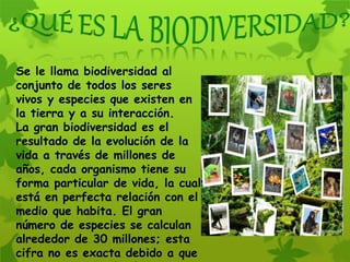 Se le llama biodiversidad al
conjunto de todos los seres
vivos y especies que existen en
la tierra y a su interacción.
La gran biodiversidad es el
resultado de la evolución de la
vida a través de millones de
años, cada organismo tiene su
forma particular de vida, la cual
está en perfecta relación con el
medio que habita. El gran
número de especies se calculan
alrededor de 30 millones; esta
cifra no es exacta debido a que
 