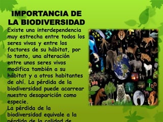 IMPORTANCIA DE
LA BIODIVERSIDAD
Existe una interdependencia
muy estrecha entre todos los
seres vivos y entre los
factores de su hábitat, por
lo tanto, una alteración
entre unos seres vivos
modifica también a su
hábitat y a otros habitantes
de ahí. La pérdida de la
biodiversidad puede acarrear
nuestra desaparición como
especie.
La pérdida de la
biodiversidad equivale a la
 
