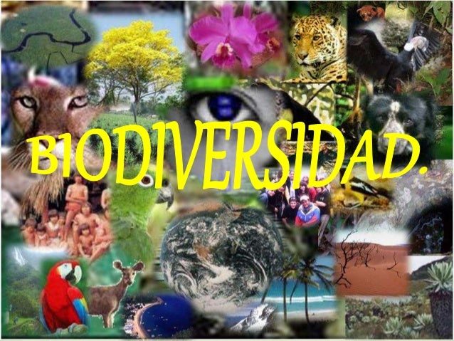 La Biodiversidad