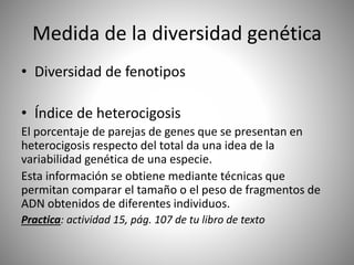 Medida de la diversidad genética
• Diversidad de fenotipos
• Índice de heterocigosis
El porcentaje de parejas de genes que se presentan en
heterocigosis respecto del total da una idea de la
variabilidad genética de una especie.
Esta información se obtiene mediante técnicas que
permitan comparar el tamaño o el peso de fragmentos de
ADN obtenidos de diferentes individuos.
Practica: actividad 15, pág. 107 de tu libro de texto
 