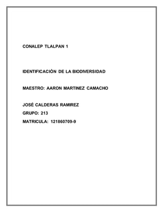 CONALEP TLALPAN 1
IDENTIFICACIÓN DE LA BIODIVERSIDAD
MAESTRO: AARON MARTINEZ CAMACHO
JOSÉ CALDERAS RAMIREZ
GRUPO: 213
MATRICULA: 121860709-9
 