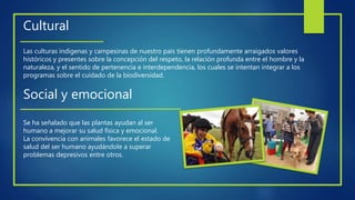 Cultural
Las culturas indígenas y campesinas de nuestro país tienen profundamente arraigados valores
históricos y presentes sobre la concepción del respeto, la relación profunda entre el hombre y la
naturaleza, y el sentido de pertenencia e interdependencia, los cuales se intentan integrar a los
programas sobre el cuidado de la biodiversidad.
Social y emocional
Se ha señalado que las plantas ayudan al ser
humano a mejorar su salud física y emocional.
La convivencia con animales favorece el estado de
salud del ser humano ayudándole a superar
problemas depresivos entre otros.
 